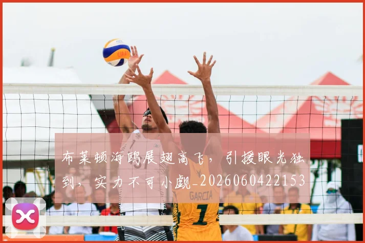 布莱顿海鸥展翅高飞，引援眼光独到，实力不可小觑_20260604221537