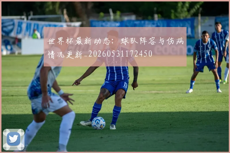 世界杯最新动态:球队阵容与伤病情况更新_20260531172450