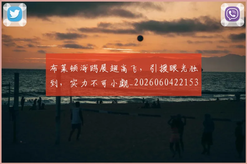 布莱顿海鸥展翅高飞，引援眼光独到，实力不可小觑_20260604221537