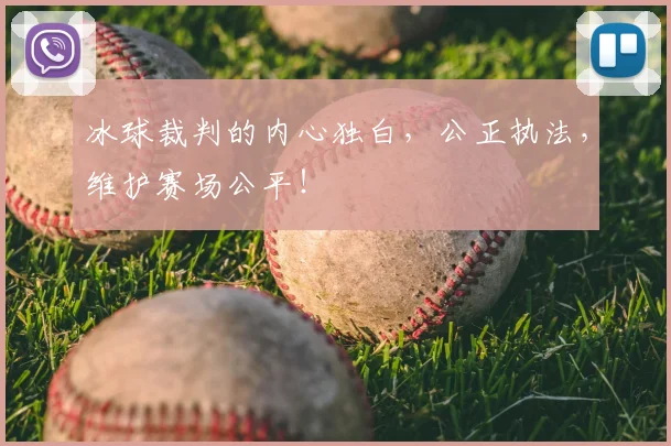 冰球裁判的内心独白，公正执法，维护赛场公平！