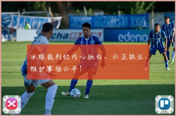 冰球裁判的内心独白，公正执法，维护赛场公平！